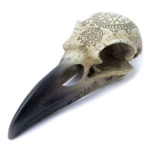 The Vault By Alchemy Crâne De Corbeau En Résine ‘Omega Raven Skull’ commentaire favorable 7