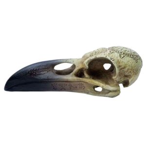 The Vault By Alchemy Crâne De Corbeau En Résine ‘Omega Raven Skull’ commentaire favorable 9