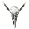 ALCHEMY GOTHIC Pendentif ‘Rabenschadel Kleine’ Nouvelle tendance 16